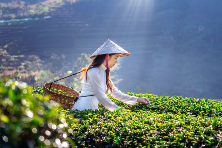 东盟互联