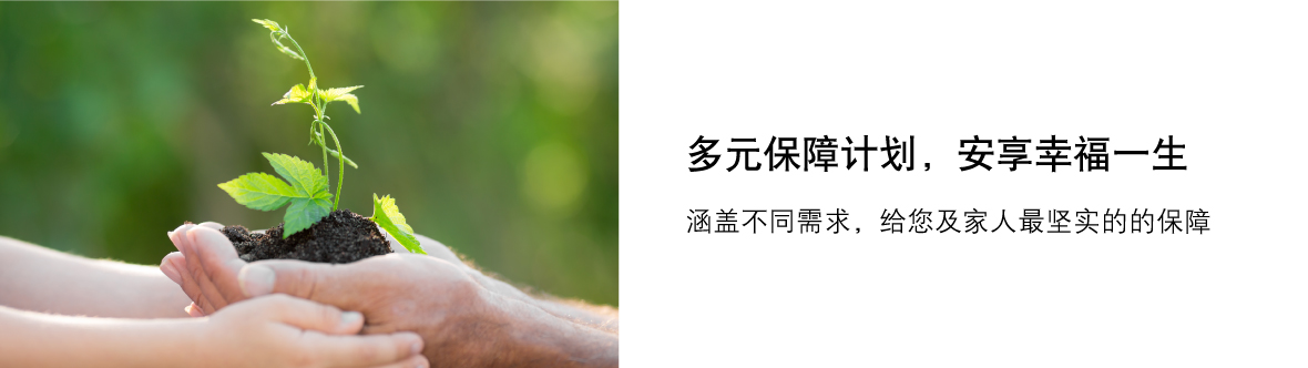 保障计划