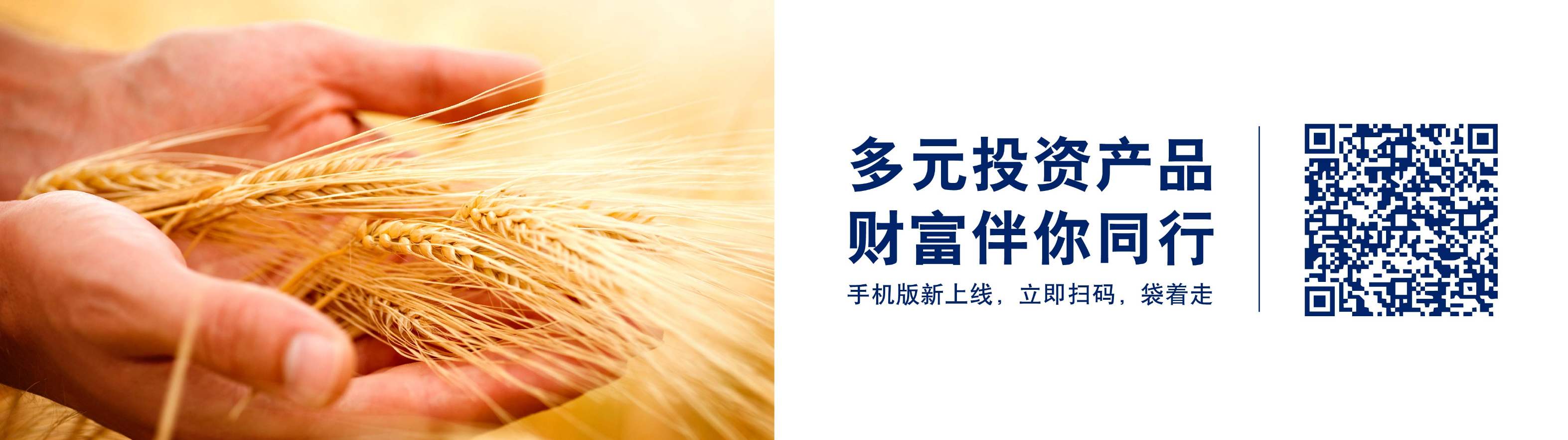 结构性产品